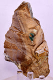 9.3cms DRUZY CHRYSOCOLLA QUARTZ CRYSTAL LILY MINE PERU 2000 YEAR DB260