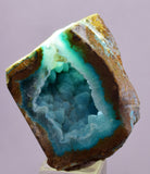 2.5cms DRUZY CHRYSOCOLLA QUARTZ CRYSTAL LILY MINE PERU 2000 YEAR DB262