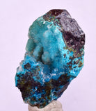 4cms DRUZY CHRYSOCOLLA QUARTZ CRYSTAL LILY MINE PERU 2000 YEAR DB263