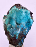 4cms DRUZY CHRYSOCOLLA QUARTZ CRYSTAL LILY MINE PERU 2000 YEAR DB263