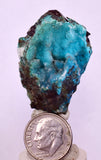 4cms DRUZY CHRYSOCOLLA QUARTZ CRYSTAL LILY MINE PERU 2000 YEAR DB263
