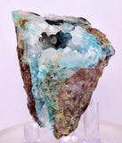 5.2cms DRUZY CHRYSOCOLLA QUARTZ CRYSTAL LILY MINE PERU 2000 YEAR DB264