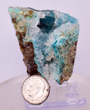 5.2cms DRUZY CHRYSOCOLLA QUARTZ CRYSTAL LILY MINE PERU 2000 YEAR DB264