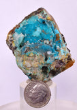 4.5cms DRUZY CHRYSOCOLLA QUARTZ CRYSTAL LILY MINE PERU 2000 YEAR DB265