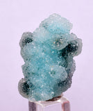 3cms DRUZY CHRYSOCOLLA QUARTZ CRYSTAL LILY MINE PERU 2000 YEAR DB266