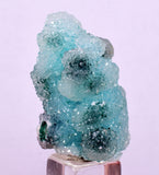 3cms DRUZY CHRYSOCOLLA QUARTZ CRYSTAL LILY MINE PERU 2000 YEAR DB266