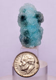 3cms DRUZY CHRYSOCOLLA QUARTZ CRYSTAL LILY MINE PERU 2000 YEAR DB266