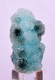 3cms DRUZY CHRYSOCOLLA QUARTZ CRYSTAL LILY MINE PERU 2000 YEAR DB266