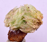 3.5cm TWIN PHOSPHOPHYLLITE CRYSTAL HOLY GRAIL OF MINERALS BOLIVIA IB89
