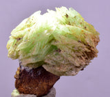 3.5cm TWIN PHOSPHOPHYLLITE CRYSTAL HOLY GRAIL OF MINERALS BOLIVIA IB89