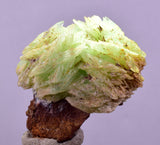 3.5cm TWIN PHOSPHOPHYLLITE CRYSTAL HOLY GRAIL OF MINERALS BOLIVIA IB89
