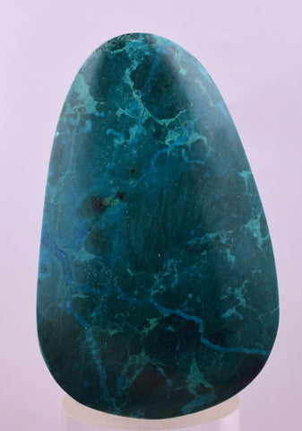 5.3cms CHRYSOCOLLA CABOCHON PERU PARROT WING EILAT STONE JEWELRY PENDANT BB410