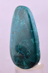 5.3cms CHRYSOCOLLA CABOCHON PERU PARROT WING EILAT STONE JEWELRY PENDANT BB410