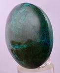 4.4cms CHRYSOCOLLA CABOCHON PERU PARROT WING EILAT STONE JEWELRY PENDANT BB411