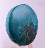 2.9cms CHRYSOCOLLA CABOCHON PERU PARROT WING EILAT STONE JEWELRY PENDANT BB412