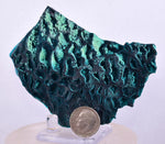 9.1cm GEM BLUE MALACHITE PSEUDOMORPH CHRYSOCOLLA PERU ROSETTE  CRYSTAL UB283