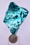 7cm GEM BLUE MALACHITE PSEUDOMORPH CHRYSOCOLLA PERU ROSETTE  CRYSTAL UB284