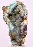 5.8cms DRUZY CHRYSOCOLLA QUARTZ CRYSTAL LILY MINE PERU 2000 YEAR DB280
