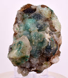6.6cms DRUZY CHRYSOCOLLA QUARTZ CRYSTAL LILY MINE PERU 2000 YEAR DB281