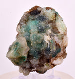6.6cms DRUZY CHRYSOCOLLA QUARTZ CRYSTAL LILY MINE PERU 2000 YEAR DB281