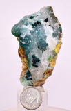 7cms DRUZY CHRYSOCOLLA QUARTZ CRYSTAL LILY MINE PERU 2000 YEAR DB282