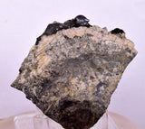 5.3cms ACANTHITE NATIVE SILVER PERU UCHUCCHACUA MINE HB284