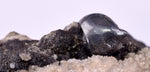 5.3cms ACANTHITE NATIVE SILVER PERU UCHUCCHACUA MINE HB284
