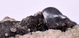 5.3cms ACANTHITE NATIVE SILVER PERU UCHUCCHACUA MINE HB284