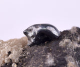 5.3cms ACANTHITE NATIVE SILVER PERU UCHUCCHACUA MINE HB284