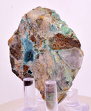 6cms DRUZY CHRYSOCOLLA QUARTZ CRYSTAL LILY MINE PERU 2000 YEAR DB284