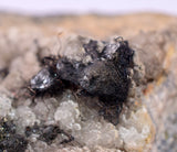 5.3cms ACANTHITE NATIVE SILVER PERU UCHUCCHACUA MINE HB284