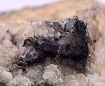 5.3cms ACANTHITE NATIVE SILVER PERU UCHUCCHACUA MINE HB284
