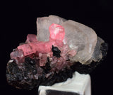2.6cm RHODOCHROSITE CRYSTALS TWIN FLUORITE PERU UCHUCCHACUA MINERAL SPECIMEN RB668