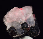 2.6cm RHODOCHROSITE CRYSTALS TWIN FLUORITE PERU UCHUCCHACUA MINERAL SPECIMEN RB668