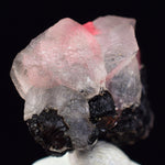2.6cm RHODOCHROSITE CRYSTALS TWIN FLUORITE PERU UCHUCCHACUA MINERAL SPECIMEN RB668
