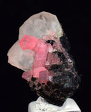 2.6cm RHODOCHROSITE CRYSTALS TWIN FLUORITE PERU UCHUCCHACUA MINERAL SPECIMEN RB668