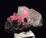 2.6cm RHODOCHROSITE CRYSTALS TWIN FLUORITE PERU UCHUCCHACUA MINERAL SPECIMEN RB668
