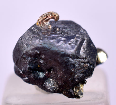 1cms ACANTHITE NATIVE SILVER PYRITE PERU UCHUCCHACUA MINE HB285