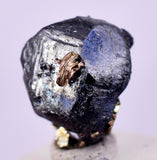 1cms ACANTHITE NATIVE SILVER PYRITE PERU UCHUCCHACUA MINE HB285