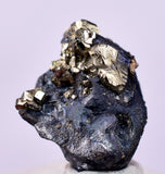 1cms ACANTHITE NATIVE SILVER PYRITE PERU UCHUCCHACUA MINE HB285