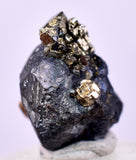 1cms ACANTHITE NATIVE SILVER PYRITE PERU UCHUCCHACUA MINE HB285