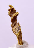 1.7cms UNIQUE NATIVE GOLD U.S.A THUMBNAIL CRYSTAL MINERAL LB219