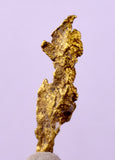 1.7cms UNIQUE NATIVE GOLD U.S.A THUMBNAIL CRYSTAL MINERAL LB219