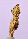 1.7cms UNIQUE NATIVE GOLD U.S.A THUMBNAIL CRYSTAL MINERAL LB219
