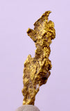 1.7cms UNIQUE NATIVE GOLD U.S.A THUMBNAIL CRYSTAL MINERAL LB219