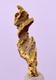 1.7cms UNIQUE NATIVE GOLD U.S.A THUMBNAIL CRYSTAL MINERAL LB219