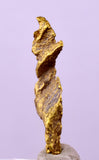 1.7cms UNIQUE NATIVE GOLD U.S.A THUMBNAIL CRYSTAL MINERAL LB219