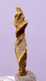 1.7cms UNIQUE NATIVE GOLD U.S.A THUMBNAIL CRYSTAL MINERAL LB219