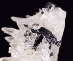 6cms RED HUBNERITE QUARTZ CRYSTALS MINERAL SPECIMEN COLLECTOR PERU MB155