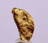 0.8cms UNIQUE NUGGET NATIVE GOLD U.S.A THUMBNAIL CRYSTAL MINERAL LB220